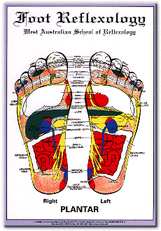 footchartsm